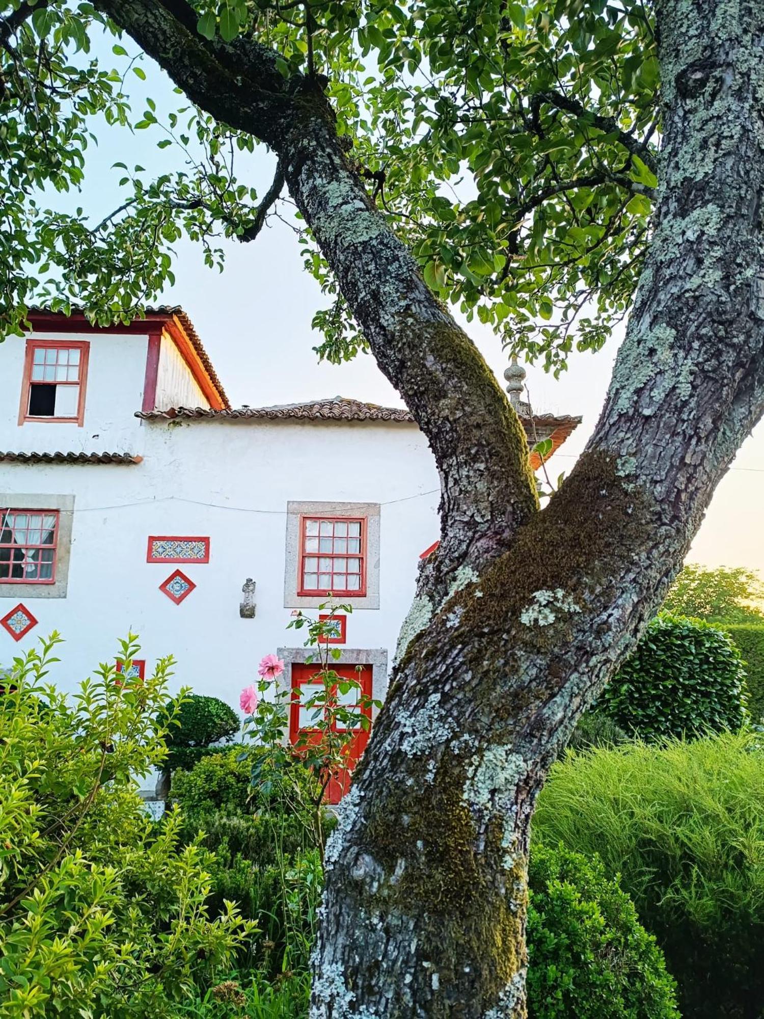Quinta Da Mainha - Charming Houses Брага Екстер'єр фото