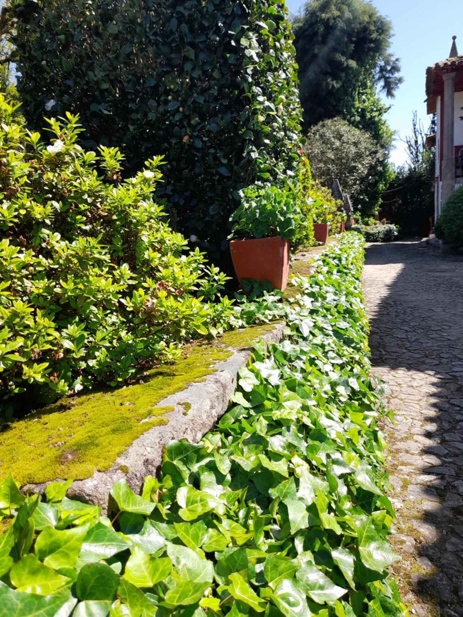 Quinta Da Mainha - Charming Houses Брага Екстер'єр фото