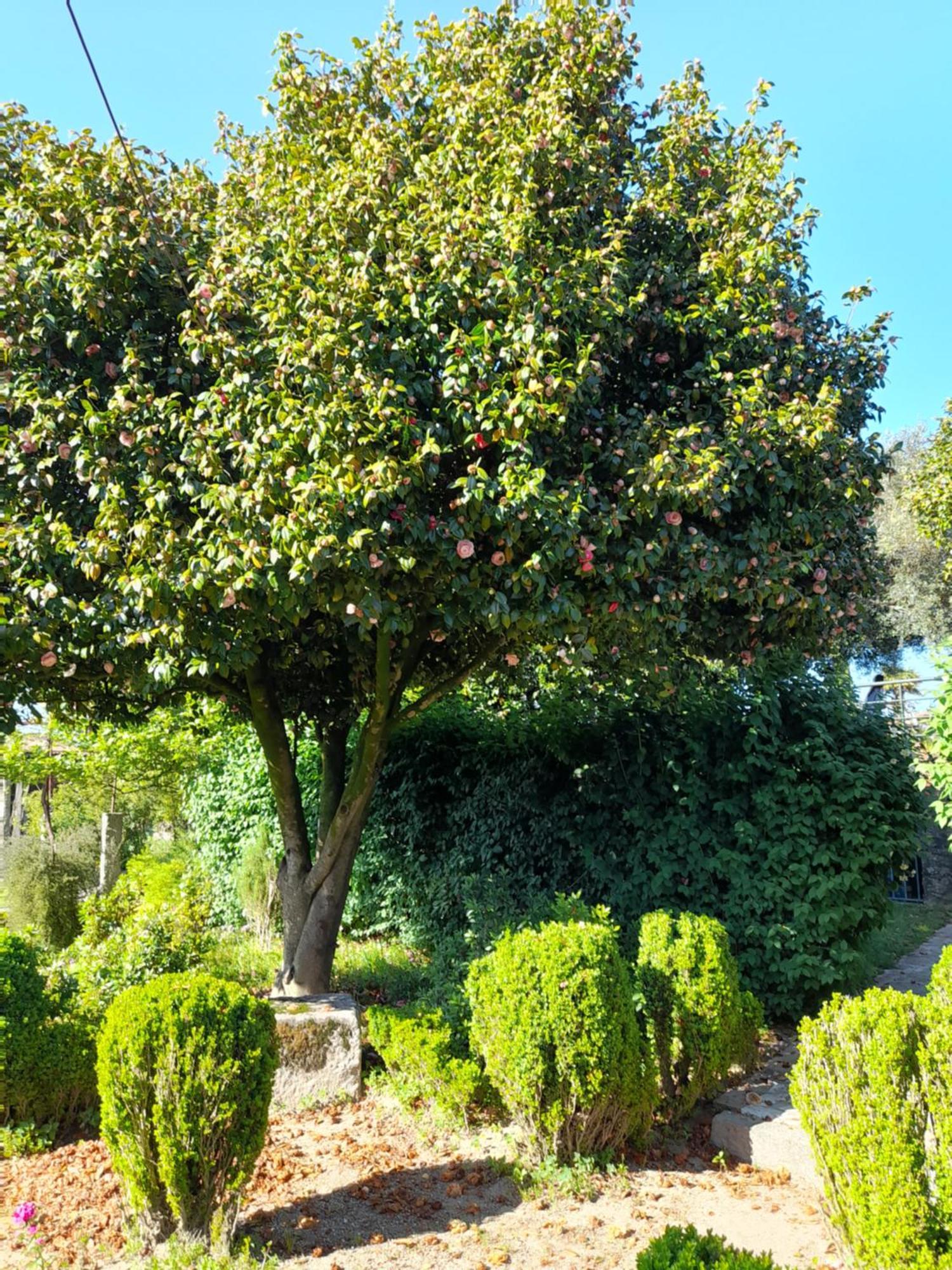 Quinta Da Mainha - Charming Houses Брага Екстер'єр фото