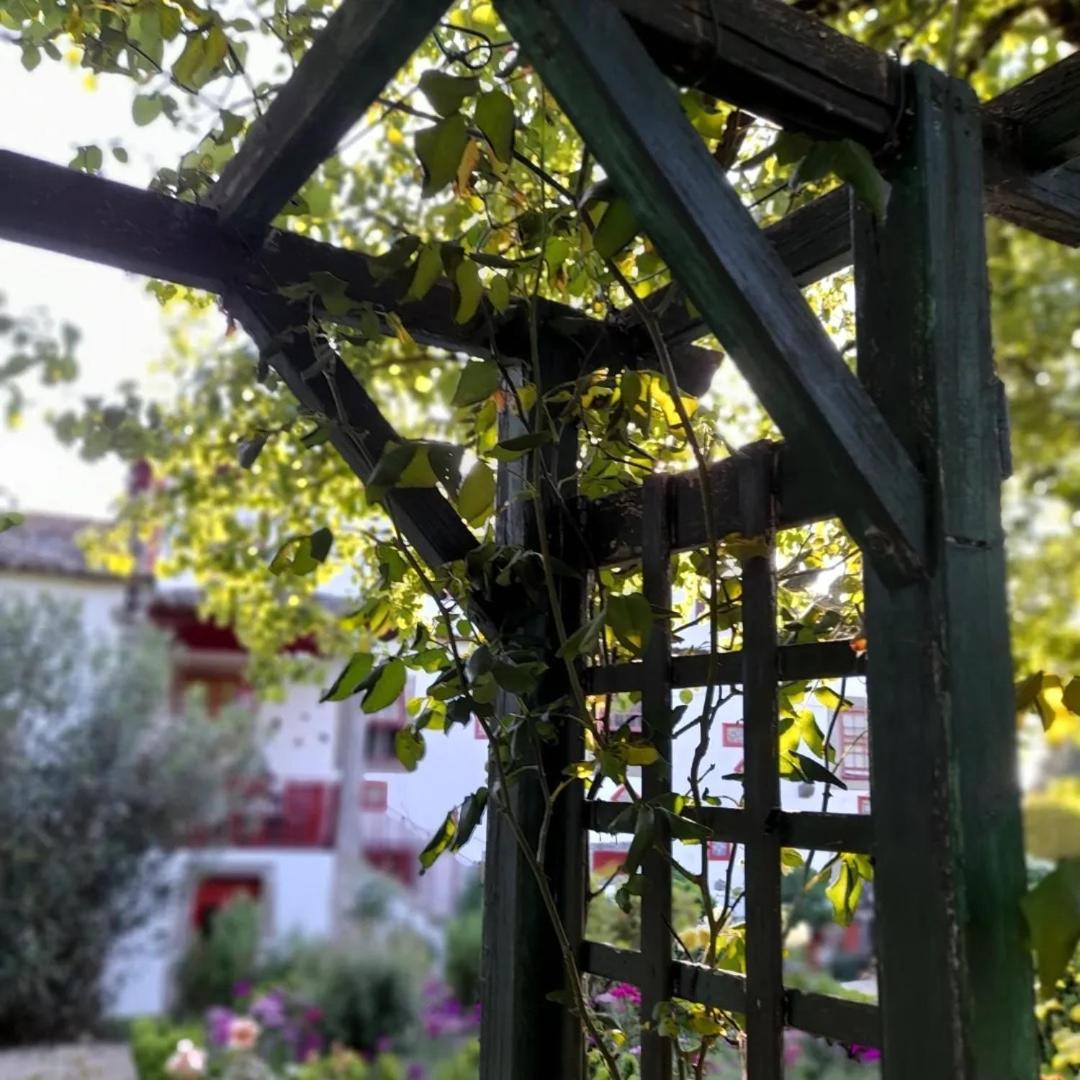 Quinta Da Mainha - Charming Houses Брага Екстер'єр фото