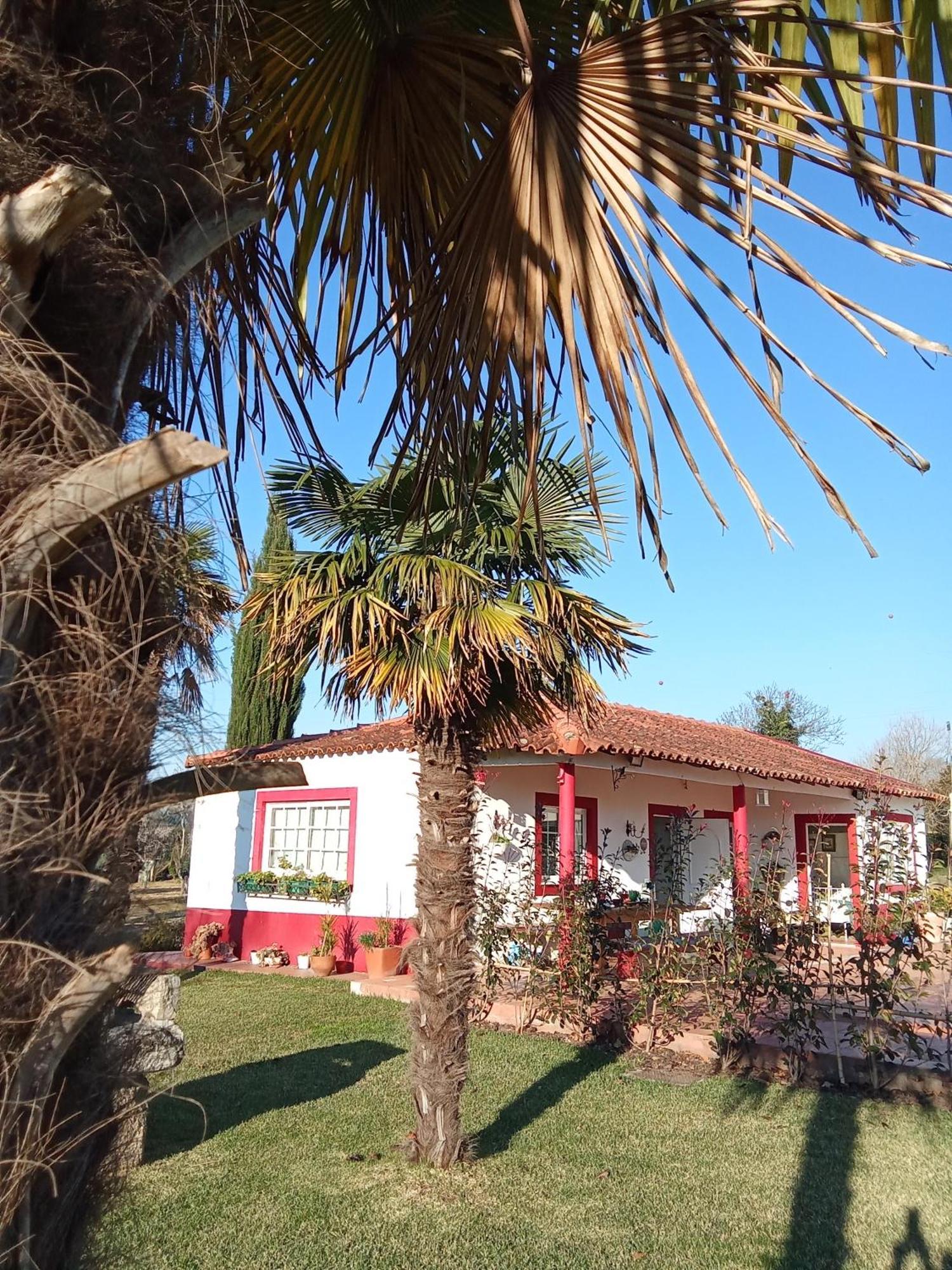 Quinta Da Mainha - Charming Houses Брага Екстер'єр фото